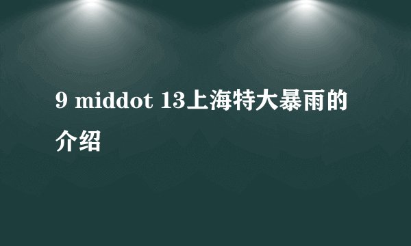 9 middot 13上海特大暴雨的介绍