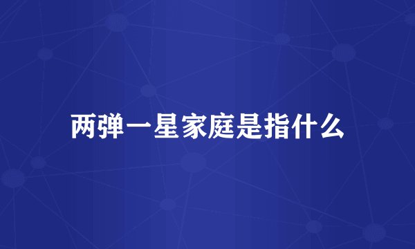 两弹一星家庭是指什么