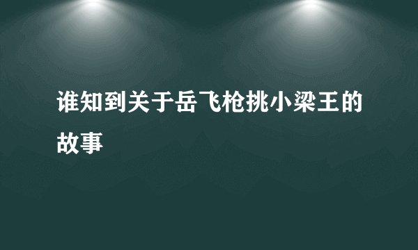 谁知到关于岳飞枪挑小梁王的故事