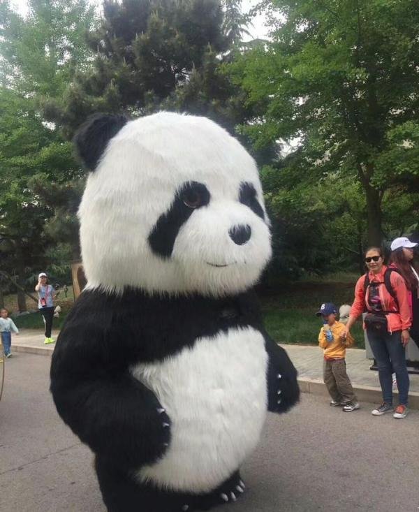 我是一个浪漫的人