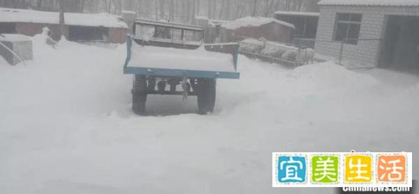 内蒙古特大暴雪:学校停课机场关闭 这是咋情况?