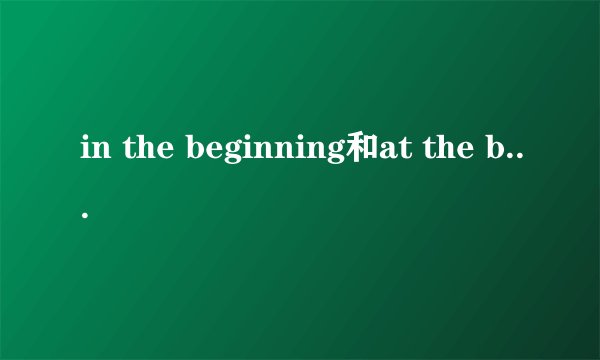 in the beginning和at the beginning的区别
