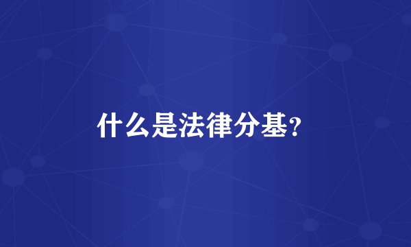 什么是法律分基？