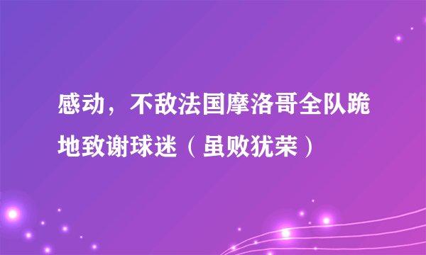 感动，不敌法国摩洛哥全队跪地致谢球迷（虽败犹荣）