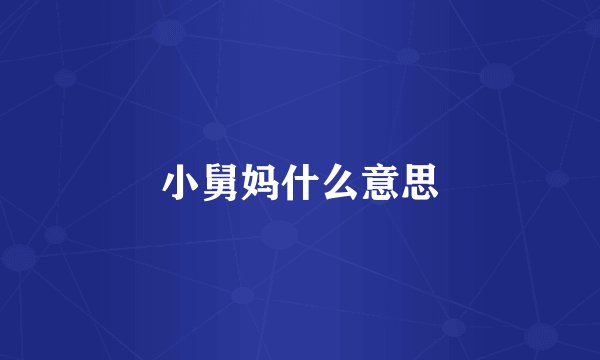 小舅妈什么意思