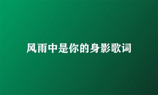风雨中是你的身影歌词