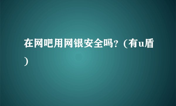 在网吧用网银安全吗？(有u盾)