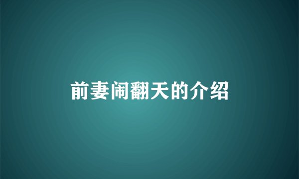 前妻闹翻天的介绍