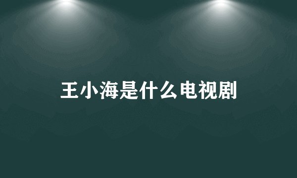 王小海是什么电视剧