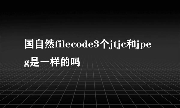国自然filecode3个jtjc和jpeg是一样的吗