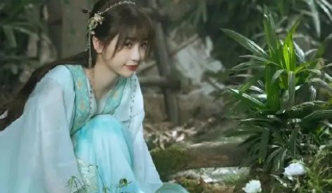苍兰诀小兰花为什么死了