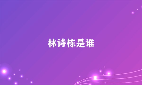 林诗栋是谁