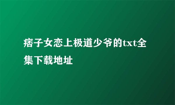 痞子女恋上极道少爷的txt全集下载地址