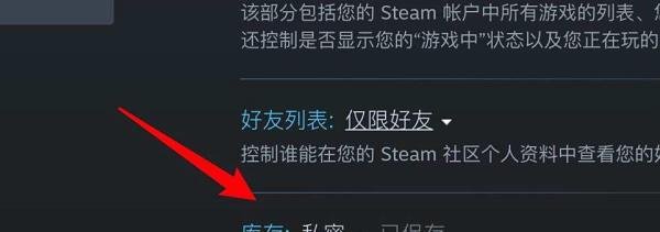 steam库存为私密状态