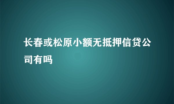 长春或松原小额无抵押信贷公司有吗