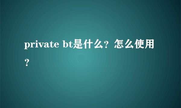 private bt是什么？怎么使用？