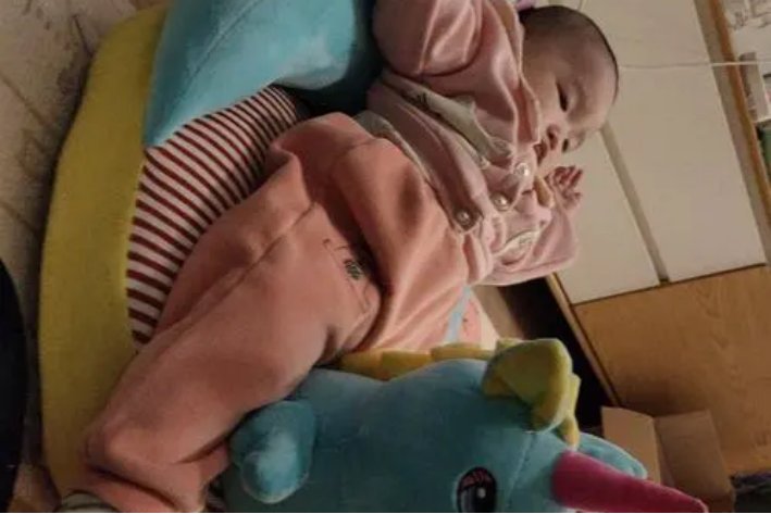 四仰八叉是哪八叉