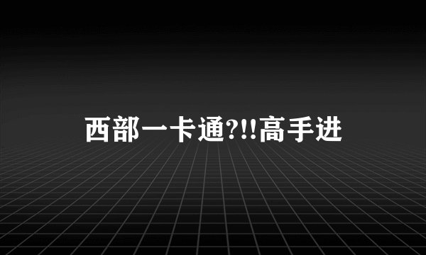 西部一卡通?!!高手进