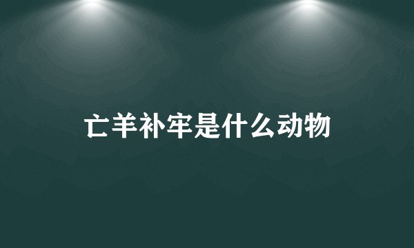 亡羊补牢是什么动物