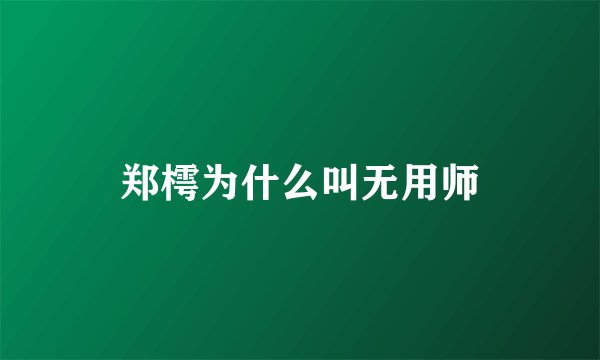 郑樗为什么叫无用师