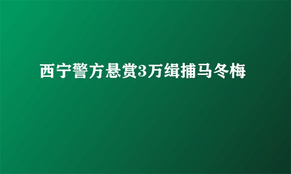 西宁警方悬赏3万缉捕马冬梅