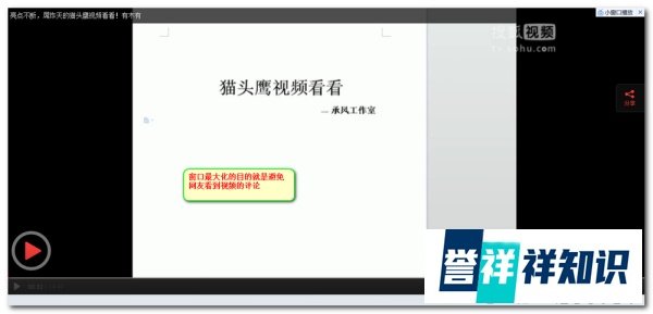 猫头鹰视频看看是真的吗【揭晓骗子】