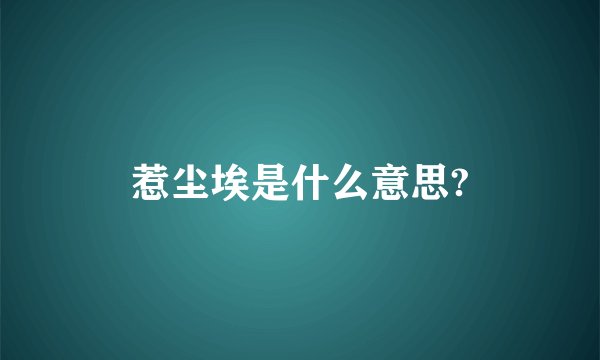 惹尘埃是什么意思?