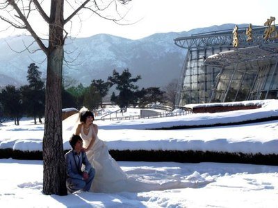 如何给南方人寄雪？