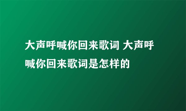 大声呼喊你回来歌词 大声呼喊你回来歌词是怎样的