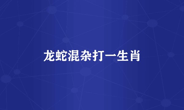 龙蛇混杂打一生肖