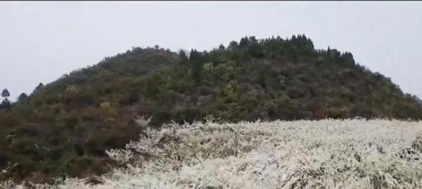 清明假期第1天 全国大部天气晴好 这是咋情况？