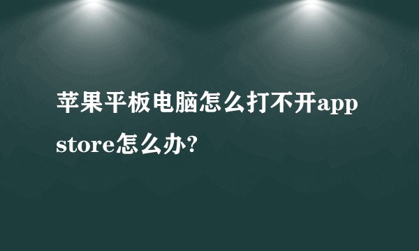 苹果平板电脑怎么打不开app store怎么办?