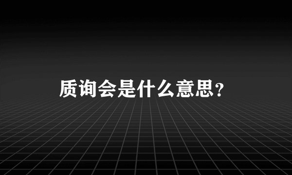 质询会是什么意思？