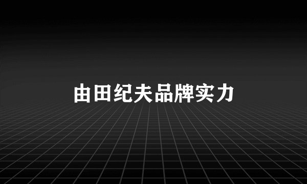 由田纪夫品牌实力