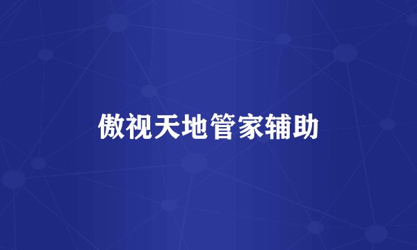 傲视天地管家辅助