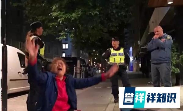 被丢弃在瑞典坟场的大国巨婴