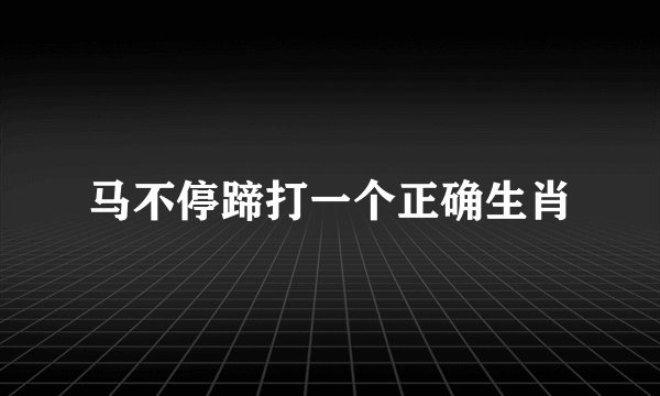 马不停蹄打一个正确生肖