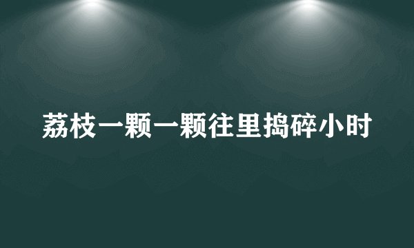 荔枝一颗一颗往里捣碎小时