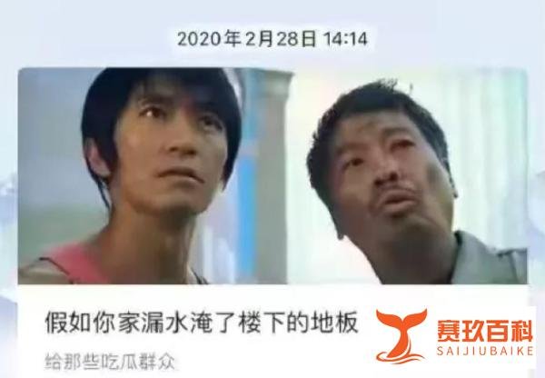 自媒体营销再陷争议！比亚迪宣传六神磊磊提车遭怒怼