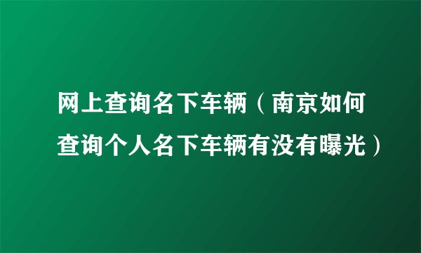 网上查询名下车辆（南京如何查询个人名下车辆有没有曝光）