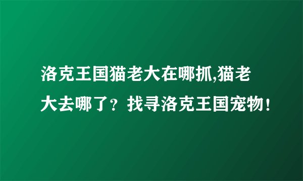洛克王国猫老大在哪抓,猫老大去哪了？找寻洛克王国宠物！