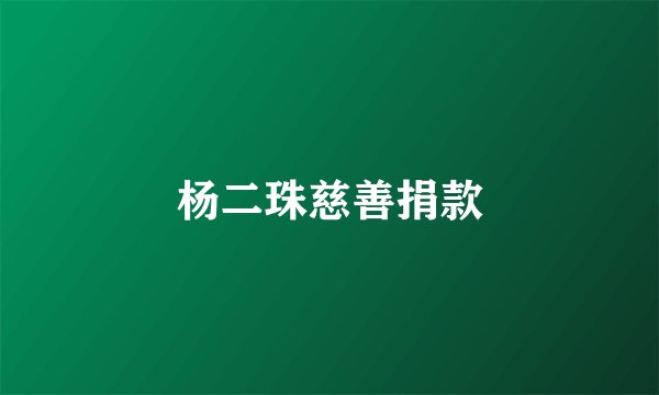 杨二珠慈善捐款
