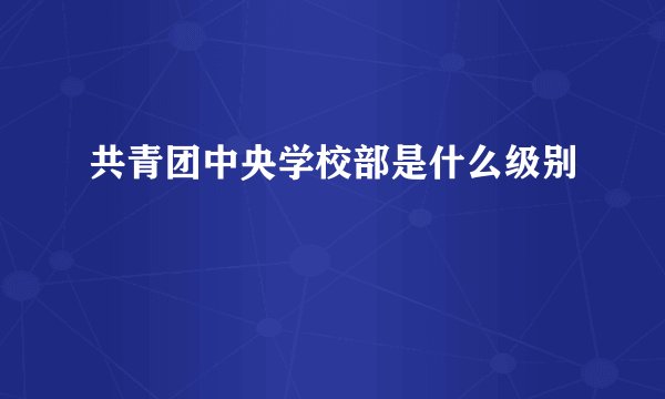 共青团中央学校部是什么级别