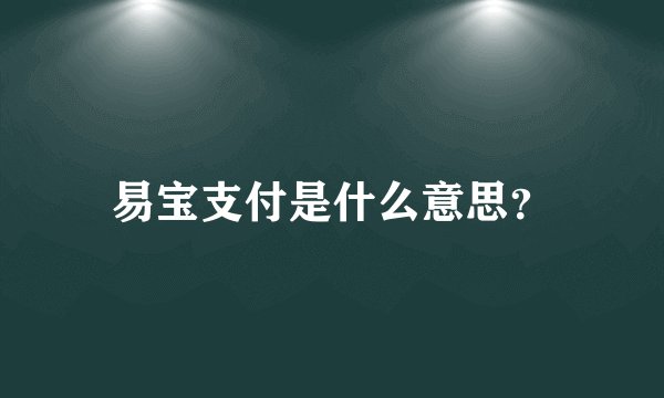 易宝支付是什么意思？