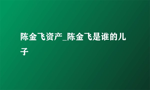 陈金飞资产_陈金飞是谁的儿子