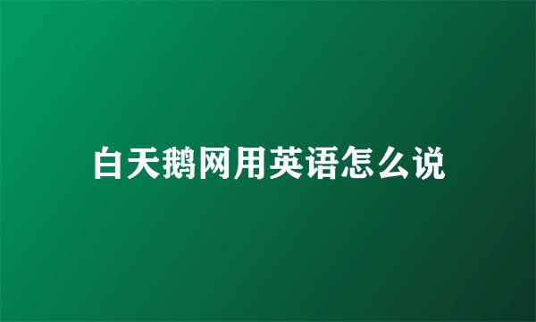 白天鹅网用英语怎么说
