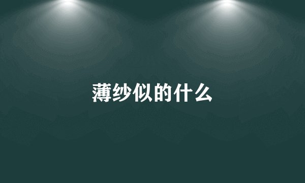 薄纱似的什么