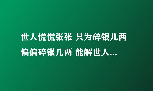 世人慌慌张张 只为碎银几两 偏偏碎银几两 能解世人怅惘什么意思