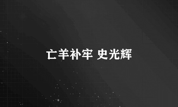 亡羊补牢 史光辉