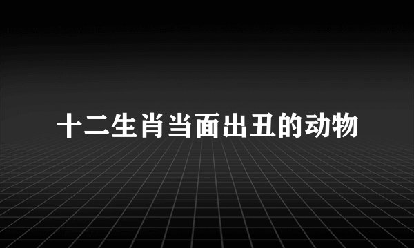 十二生肖当面出丑的动物